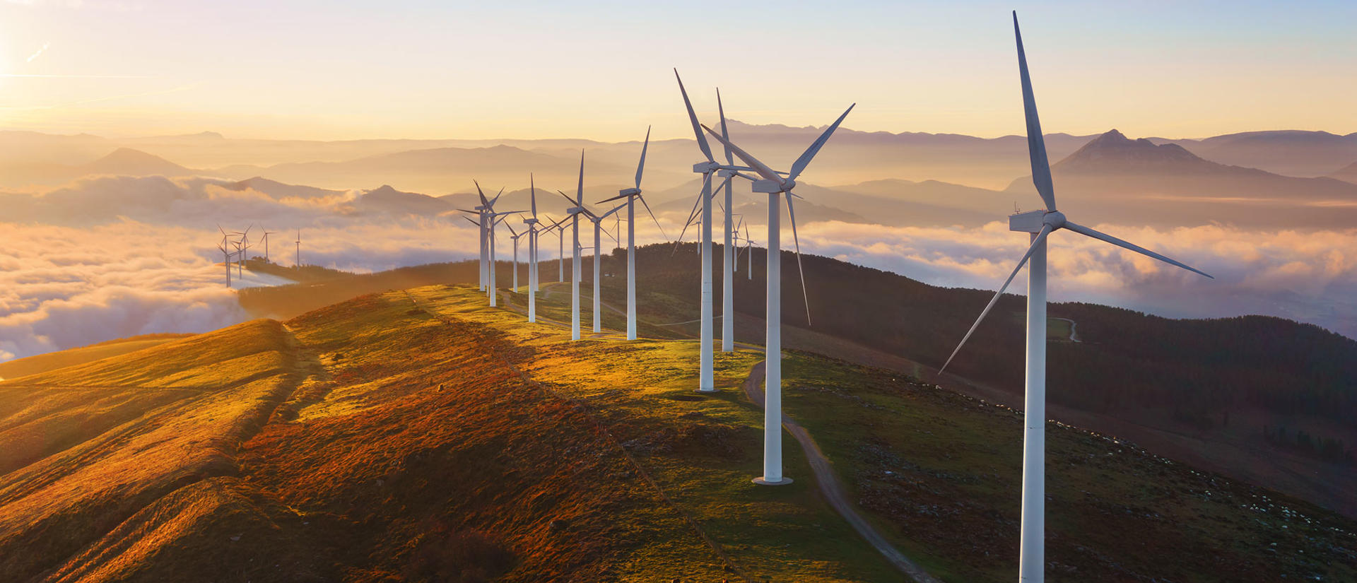 Wind Harvest
